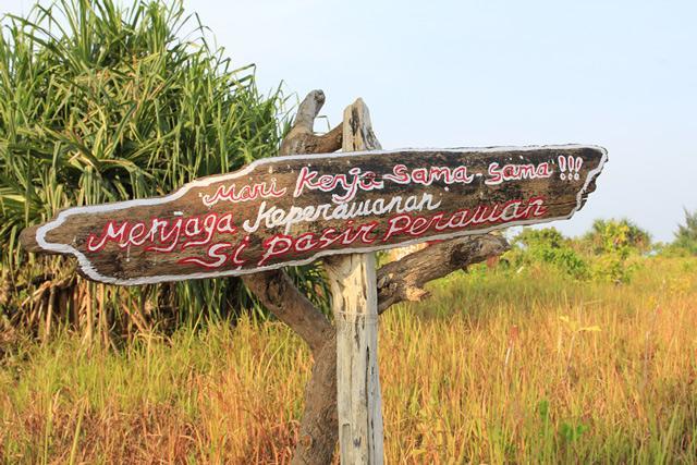 Pari Solata Seaview Homestay Syariah Kepulauan Seribu Exterior foto