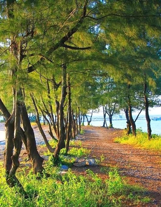 Pari Solata Seaview Homestay Syariah Kepulauan Seribu Exterior foto